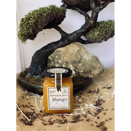 Mermelada de Mango 300 gr.