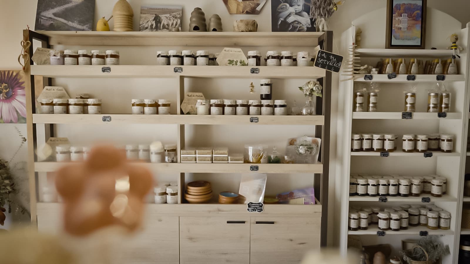 Estanterías con gran variedad de mieles tradicionales de Apisierra